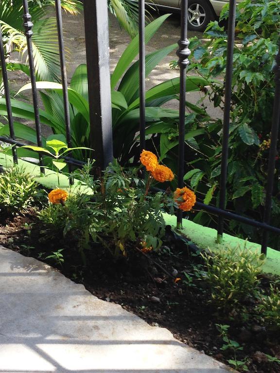 Melrost Airport Bed & Breakfast Alajuela Exterior foto